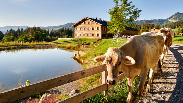 Purer Genuss auf der Alpe Krähenberg